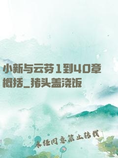 小新与云芬1到40章概括