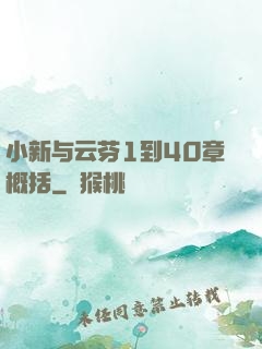 小新与云芬1到40章概括