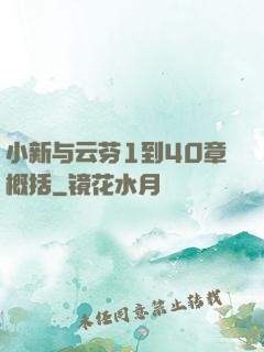 小新与云芬1到40章概括