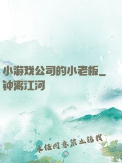 小游戏公司的小老板