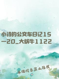 小诗的公交车日记15一20