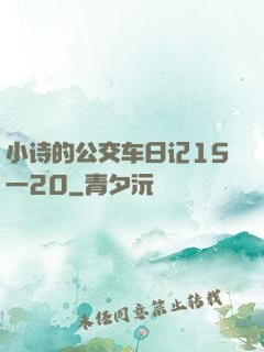 小诗的公交车日记15一20