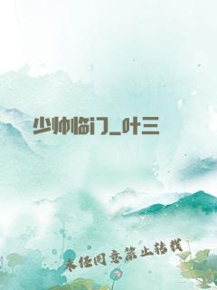 少帅临门