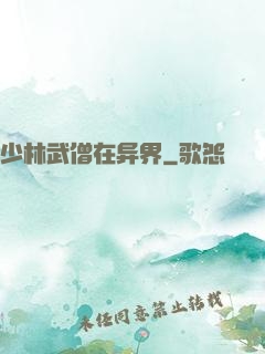 少林武僧在异界