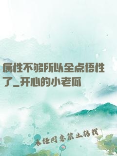 属性不够所以全点悟性了