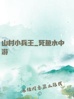 山村小兵王