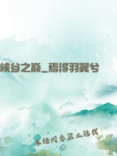 峡谷之巅