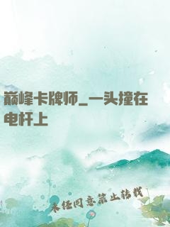 巅峰卡牌师