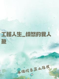工程人生