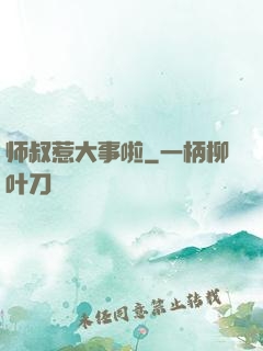 师叔惹大事啦