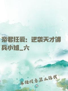 帝君狂爱：逆袭天才佣兵小姐