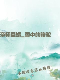 帝师圣婿