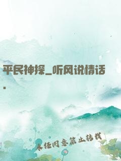平民神探