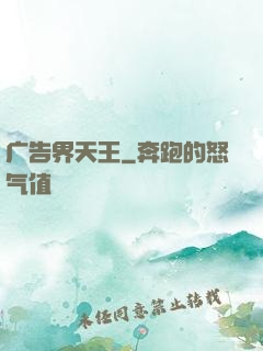 广告界天王
