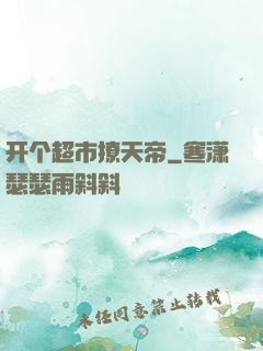开个超市撩天帝
