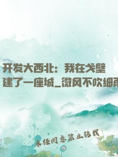 开发大西北：我在戈壁建了一座城