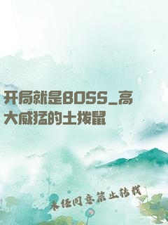 开局就是BOSS