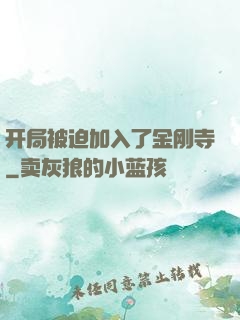 开局被迫加入了金刚寺