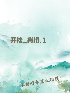 开挂