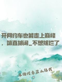 开网约车也能走上巅峰，简直胡闹