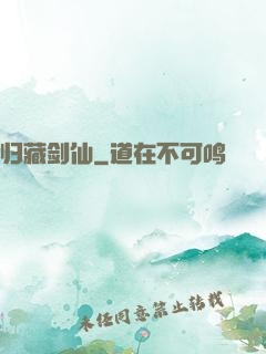 归藏剑仙