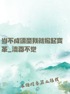 当不成儒圣我就掀起变革