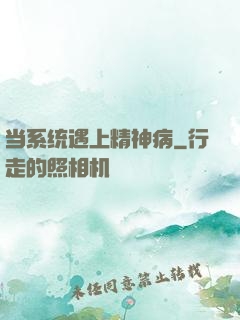 当系统遇上精神病