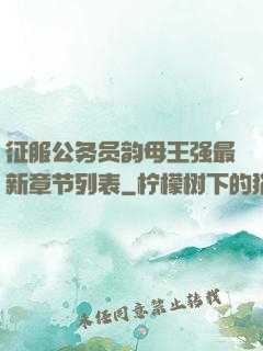 征服公务员韵母王强最新章节列表