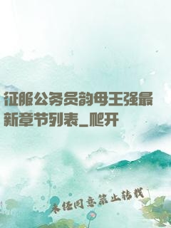 征服公务员韵母王强最新章节列表