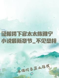 征服跨下官太太陈雅宁小说最新章节