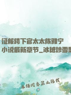 征服跨下官太太陈雅宁小说最新章节