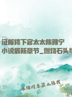 征服跨下官太太陈雅宁小说最新章节