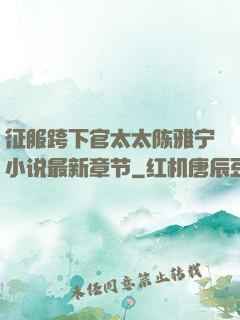 征服跨下官太太陈雅宁小说最新章节