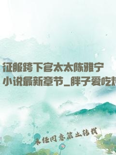 征服跨下官太太陈雅宁小说最新章节
