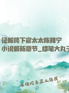 征服跨下官太太陈雅宁小说最新章节