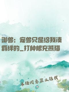 御兽：宠兽只是给我凑羁绊的