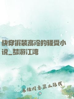 快穿假装高冷的骚受小说