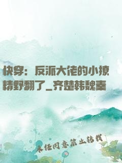 快穿：反派大佬的小撩精野翻了