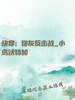 快穿：炮灰反击战