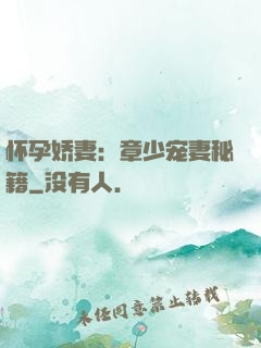 怀孕娇妻：章少宠妻秘籍