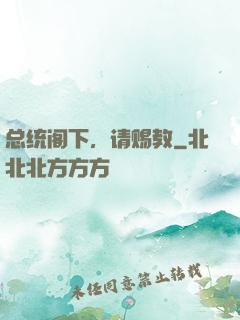 总统阁下，请赐教