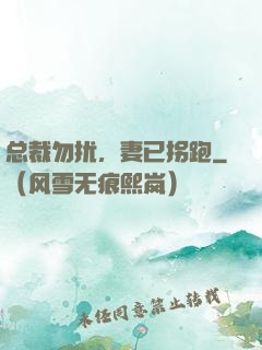 总裁勿扰，妻已拐跑