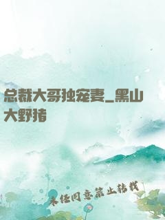 总裁大哥独宠妻