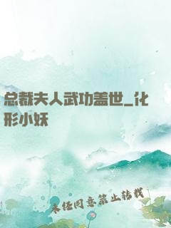 总裁夫人武功盖世