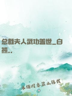 总裁夫人武功盖世