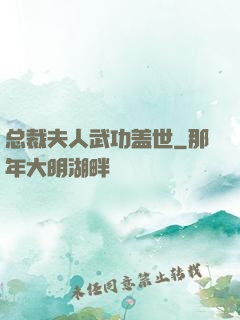 总裁夫人武功盖世