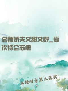 总裁娇夫又甜又野