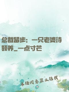 总裁留步：一只老婆待领养