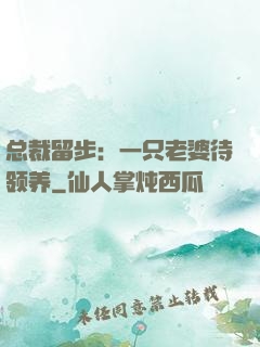 总裁留步：一只老婆待领养