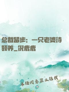 总裁留步：一只老婆待领养